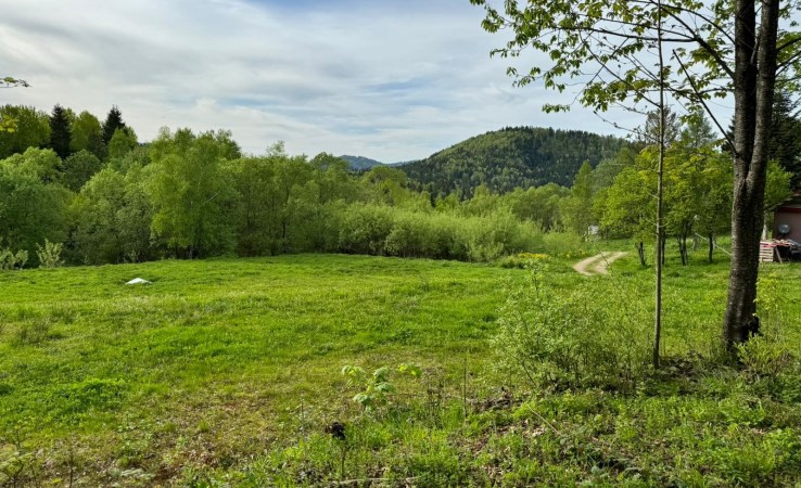 działka na sprzedaż - Cisna, Krzywe 