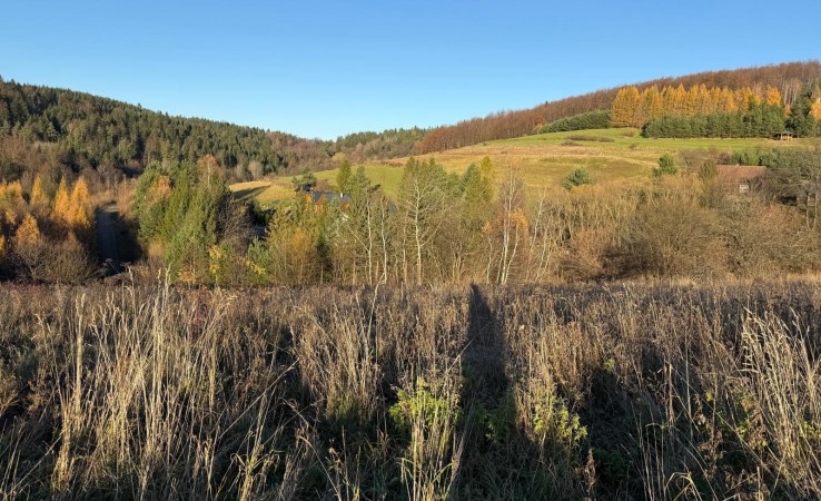 działka na sprzedaż - Baligród