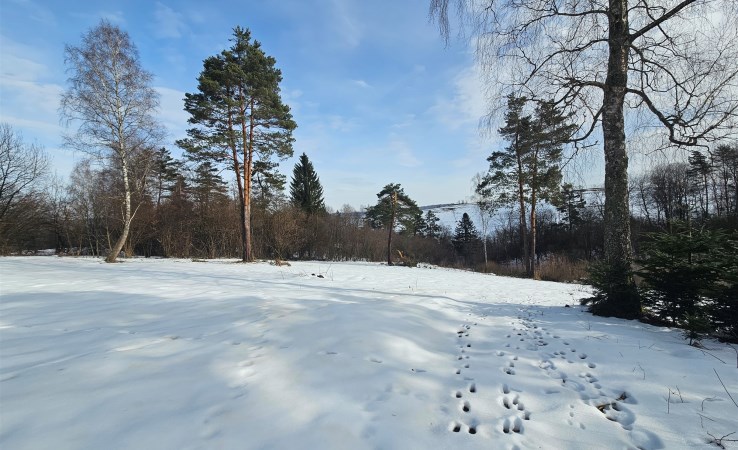 działka na sprzedaż - Czarna, Olchowiec