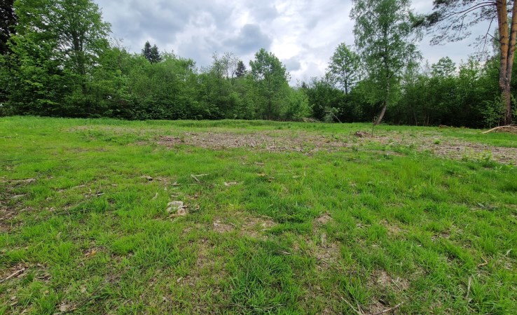 działka na sprzedaż - Czarna, Olchowiec