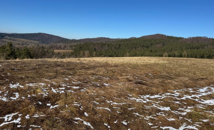 działka na sprzedaż - Zagórz, Kalnica