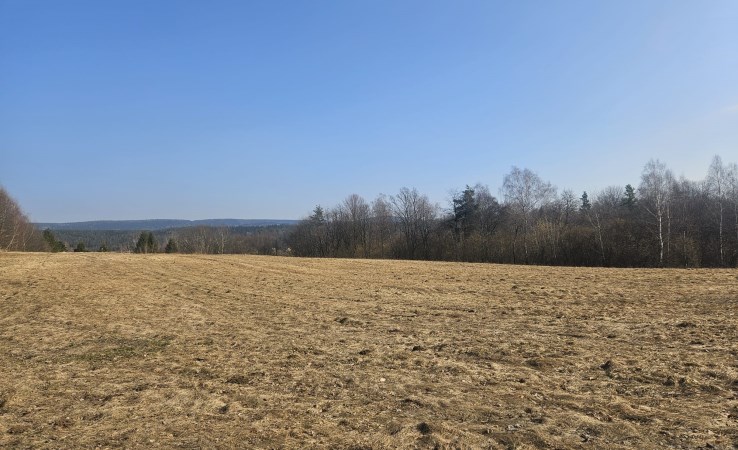 działka na sprzedaż - Olszanica, Orelec