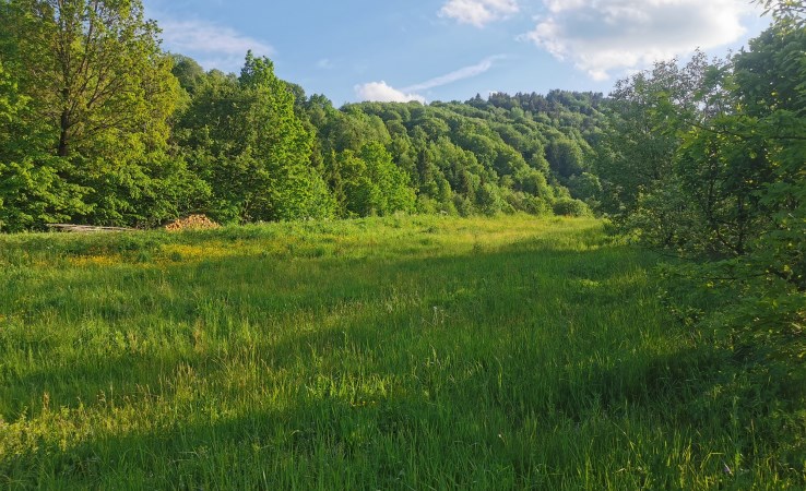 działka na sprzedaż - Solina, Wołkowyja