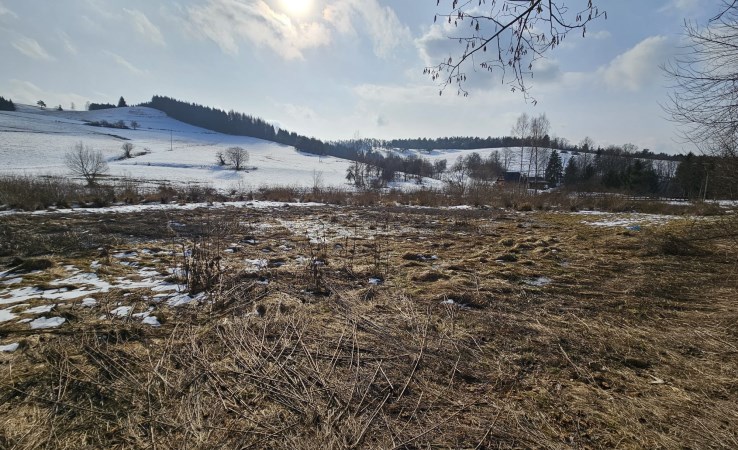 działka na sprzedaż - Ustrzyki Dolne, Brelików
