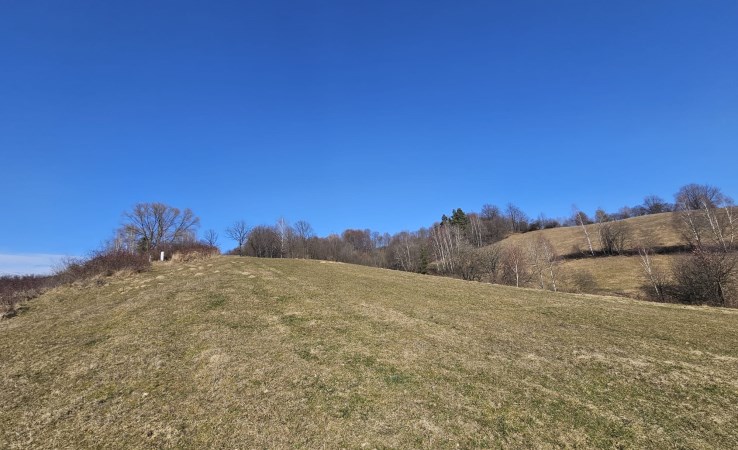 działka na sprzedaż - Ustrzyki Dolne, Daszówka