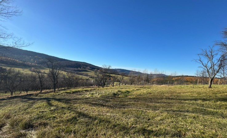 działka na sprzedaż - Baligród, Stężnica