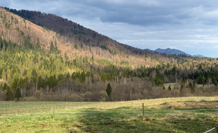 działka na sprzedaż - Cisna