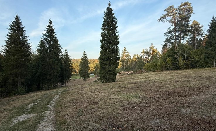 działka na sprzedaż - Solina, Berezka