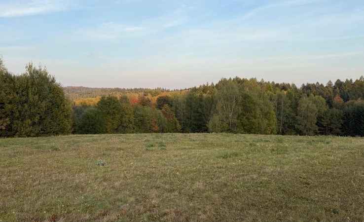działka na sprzedaż - Solina, Bereżnica Wyżna